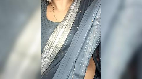 Media: A close-up video of a woman wearing a blue saree with a subtle shimmer, showcasing a gold border and intricate details, against a blurred background.