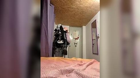 Media: A video of a cluttered bedroom with a bed covered in a pink quilt, a black stroller, and a cat in the background. The room has a wooden ceiling and purple curtains.