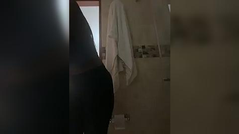 Media: Video of a dimly lit bathroom with a white towel hanging on a beige tiled wall. A person's shadow is partially visible, suggesting a presence but no clear features.