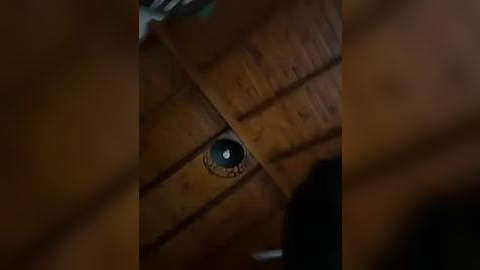 Media: A close-up video of a wooden ceiling with a small, round, blue eye peering through a gap between planks, creating a mysterious and eerie atmosphere.