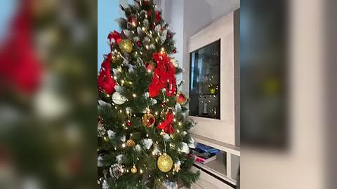 Media: Video of a Christmas tree adorned with red and gold ornaments, standing in a corner of a modern living room with white walls and a large window.