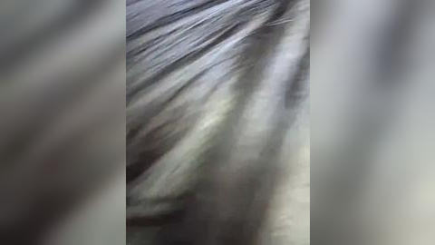 Media: A blurry video with a grayish background and indistinguishable objects, possibly depicting a motion blur effect. The image lacks distinct features and is difficult to interpret due to the lack of clarity.