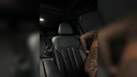 Media: Video of a dimly lit, luxurious car interior with a tattooed, muscular man wearing a black T-shirt seated in the backseat. The car's leather seats are plush and gray, creating a high-end ambiance.