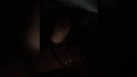 Media: A dimly lit video shows a person with long, dark hair partially hidden in shadows, suggesting a secretive or clandestine atmosphere. The background is mostly dark, emphasizing the subject's obscured face.