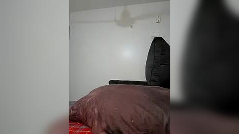 Media: Video of a minimalist bedroom with a large, dark brown recliner chair and a red plaid blanket on a bed, taken from a slightly blurry perspective.