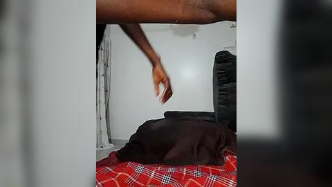 Media: Video of a dark-skinned person holding a smartphone above a sleeping black dog on a red and white checkered blanket in a dimly lit room with white walls and a black chair.