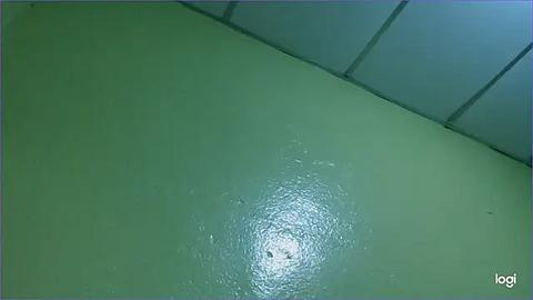 Media: A video of a ceiling with a glossy, light green paint finish, featuring a water stain in the center. The room's lighting is dim, casting a soft glow on the surface.