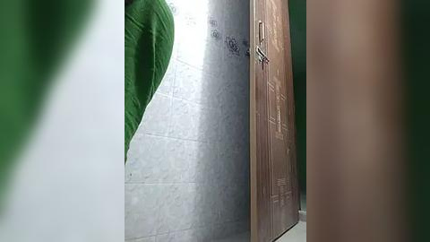 Media: Video of a narrow, modern bathroom with a large green leafy plant on the left, gray tiled wall, and a brown wooden cabinet with metal handles on the right.