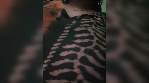 Media: A close-up video of a person's upper body, wearing a zebra-patterned shirt. The background is blurred, focusing attention on the shirt's bold black and white stripes. The person's head is partially visible, wearing a necklace.