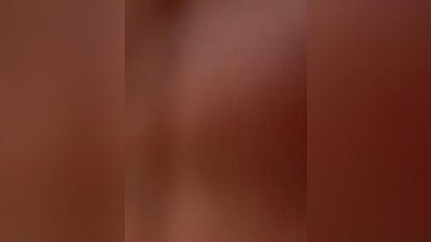 Media: A blurred, reddish-brown video with no discernible subject, creating an abstract, soft-focus effect. The image lacks clear details, making it difficult to identify any specific elements.