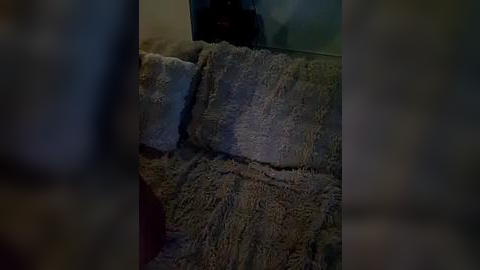 Media: Video of a dark, shaggy, beige and brown carpeted couch with a fuzzy texture, partially visible in dim lighting. The background is blurred, making the couch the main focus.