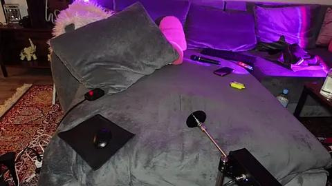 Media: Video of a cozy, dimly lit bedroom with a plush gray bedspread, fluffy pillows, and a red and gold rug. A black desk lamp with a round shade is positioned on the bed.