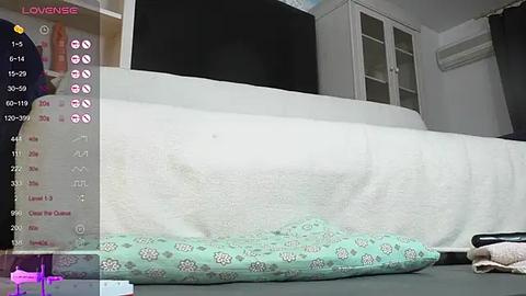 Media: A video of a cat lying on a white bedspread with a light green blanket, in a modern, minimalist bedroom. The room features white walls, a black television, and a white wardrobe.