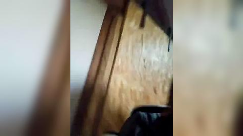 Media: A blurry video showing a wooden wall with visible grain and a dark, possibly leather, object partially in focus at the bottom.