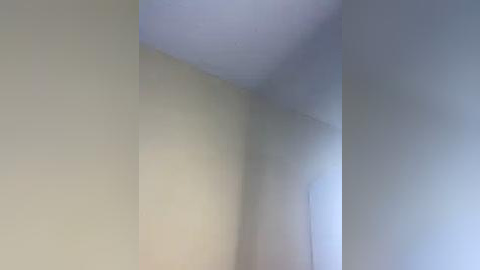 Media: A video showing the corner of a light beige room, with smooth, flat walls and a subtle shadow effect. The image is minimalistic, devoid of furniture or decorations, emphasizing the simplicity and cleanliness of the space.