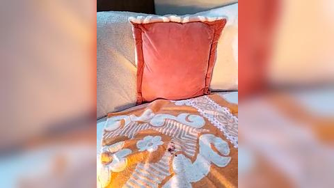 Media: Video of a plush, peach-colored pillow with white lace trim, resting on a beige sofa with a patterned, cream-colored throw blanket. The background is blurred, enhancing the focus on the cozy, textured fabric.