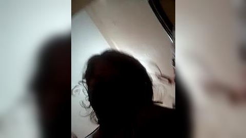 Media: A blurred video captures a person with long, dark hair and a partially visible face, possibly female, standing indoors near a white wall with a round mirror.