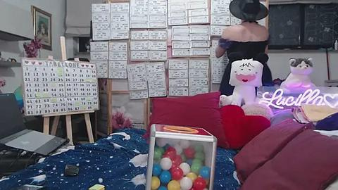 Media: Video of a cozy room with a woman in a black hat, holding a cat, surrounded by colorful stuffed animals and a calendar, against a whiteboard full of scribbles.