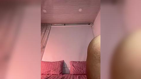 Media: Video of a minimalist, pink-tinted room with a white ceiling and beige wall. A bed with two pink pillows and a sheer curtain hangs to the side. A large, golden object partially obstructs the view in the foreground.