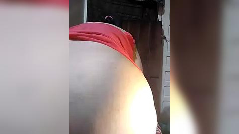 Media: A close-up video of a person's buttocks, wearing a bright red bikini bottom, taken from a low angle, with a blurry background of a garage door. The lighting is soft.