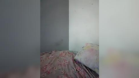 Media: A video of a dimly lit, corner room with peeling white walls, a floral-patterned bedspread, and a pillow with a faded, pastel-colored design. The room appears neglected and abandoned.