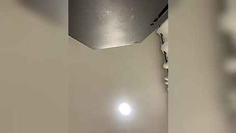 Media: Video of a ceiling corner with a fluorescent light fixture, showing a white ceiling and a bright, circular light source in the background.