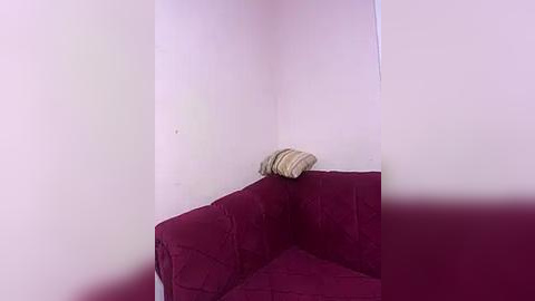 Media: A video of a corner of a room featuring a maroon, quilted sofa with a striped pillow, against a pale pink wall. The room is sparsely decorated, creating a minimalist and cozy ambiance.