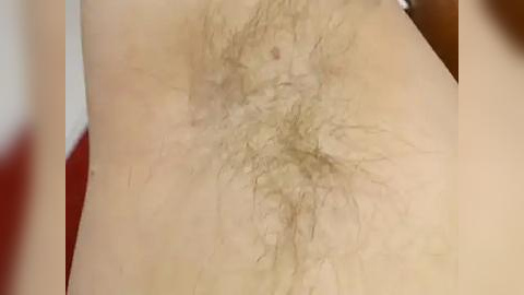 Media: Video of a light-skinned person's pubic area, showing natural, light brown pubic hair with sparse growth and some redness in the surrounding skin.