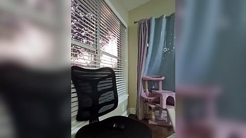 Media: A video of a cozy, sunlit room with a black mesh office chair, a white window with blinds, and a pink cat scratching post by the window.