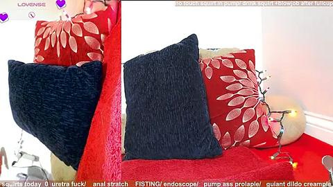 Media: Video of a red couch with two large pillows; one navy blue, the other red with white leaf design, set against a white wall.