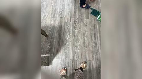 Media: Video of a wooden floor with a person in a blue shirt and light-colored shoes, and a person in a green shirt and sandals, viewed from above.