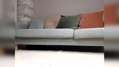 Media: A video of a minimalist, modern living room with a light grey couch featuring two large, rectangular pillows in muted pastel colors: peach and olive green. The background includes a white brick wall and a pile of white boxes.