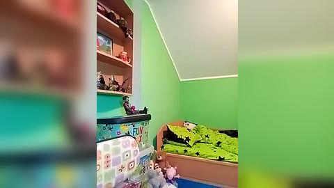 Media: Video of a small, bright green bedroom with a sloped ceiling. Two bunk beds are against the wall, one with a green sheet, the other with a blue and white patterned sheet. Shelves above hold toys and books.