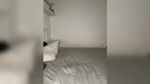 Media: Video of a dimly lit, sparsely furnished room with a single bed covered in white sheets, pillows, and a small plant on a shelf against the white wall.