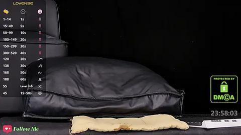 Media: Video of a black leather dog bed on a black surface, overlaid with a live streaming interface displaying various statistics.