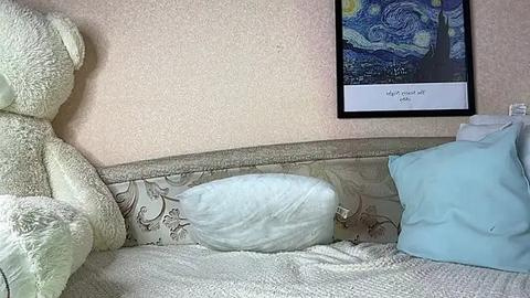 Media: A video of a cozy, light-colored bedroom with a bed adorned with a plush teddy bear, a light blue pillow, and a framed artwork of \"The Starry Night\" by Van Gogh.