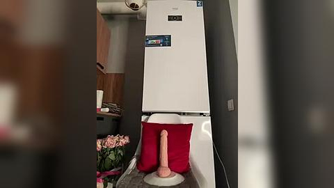 Media: A video of a bathroom with a white toilet, a pink dildo, and a red pillow on a white pedestal. The room features wooden cabinets, a white sink, and a pink floral arrangement.