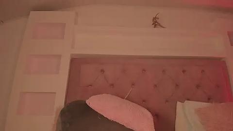 Media: Video of a cozy bedroom with a plush, tufted pink headboard, a white door, and a decorative bird figurine on the ceiling.