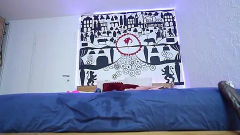 Media: A video of a minimalist bedroom with a blue bedspread, white walls, and a large, colorful, black-and-white mural depicting a village and a red traffic sign.