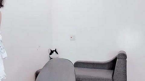 Media: Video of a minimalist room featuring a grey armchair with a white cat silhouette wall decal and a white electrical outlet on the wall.