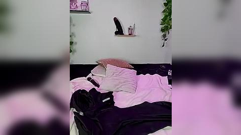 Media: Video of a messy bedroom with a black and white bed, a pink pillow, and a wall-mounted shelf with a black dildo. The background features green plants and a blurred figure.