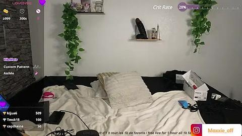 Media: Video of a messy bedroom with a white bed, two hanging plants, a phone, and a gray cat toy on the floor.