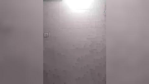 Media: Video of a narrow, white-painted hallway with a textured, light gray brick wall on the right, illuminated by a bright light at the end, creating a soft, diffused glow.