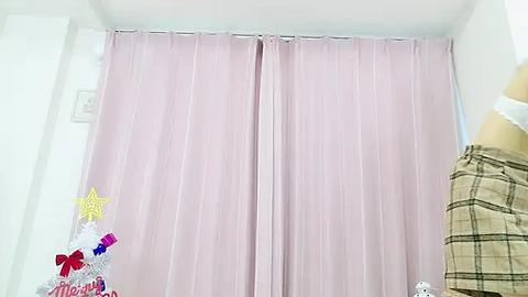 Media: A video of a pink curtain with a white wall background, featuring a decorative star and ribbon on the left.