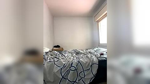 Media: Video of a dimly lit, small bedroom with a bed covered in a patterned, gray duvet. The room has white walls and a window with a beige blind, casting a soft glow.