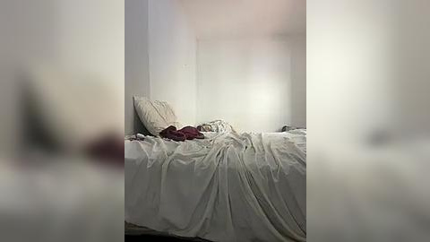 Media: A video of a minimalist bedroom with a white bed, rumpled sheets, and a maroon blanket. The room has white walls and a soft, diffused lighting. The image has a slight blur, enhancing the serene, understated ambiance.