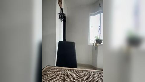 Media: Video of a modern, minimalist living room with a black upright piano, a white wall, a window with green plants, and a beige woven rug.