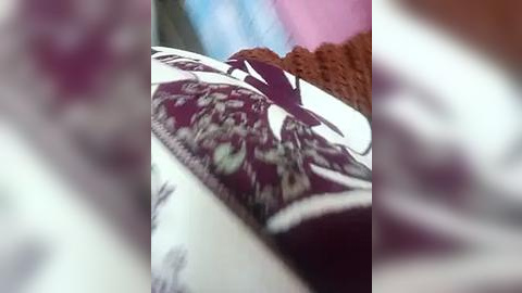 Media: A close-up video of a fabric pattern with intricate, detailed floral designs in maroon, white, and green. The background is blurry, featuring a textured, brown sweater.