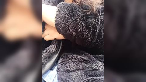 Media: Video of a woman's arm, wearing a thick, dark gray fur coat, holding a black purse, with a blurred background suggesting an outdoor setting.