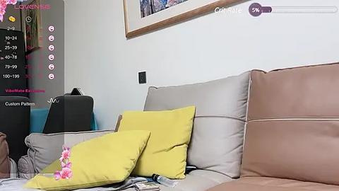 Media: A video of a modern living room with a beige sofa, yellow and pink throw pillows, a framed painting, and a blue bag in the background.